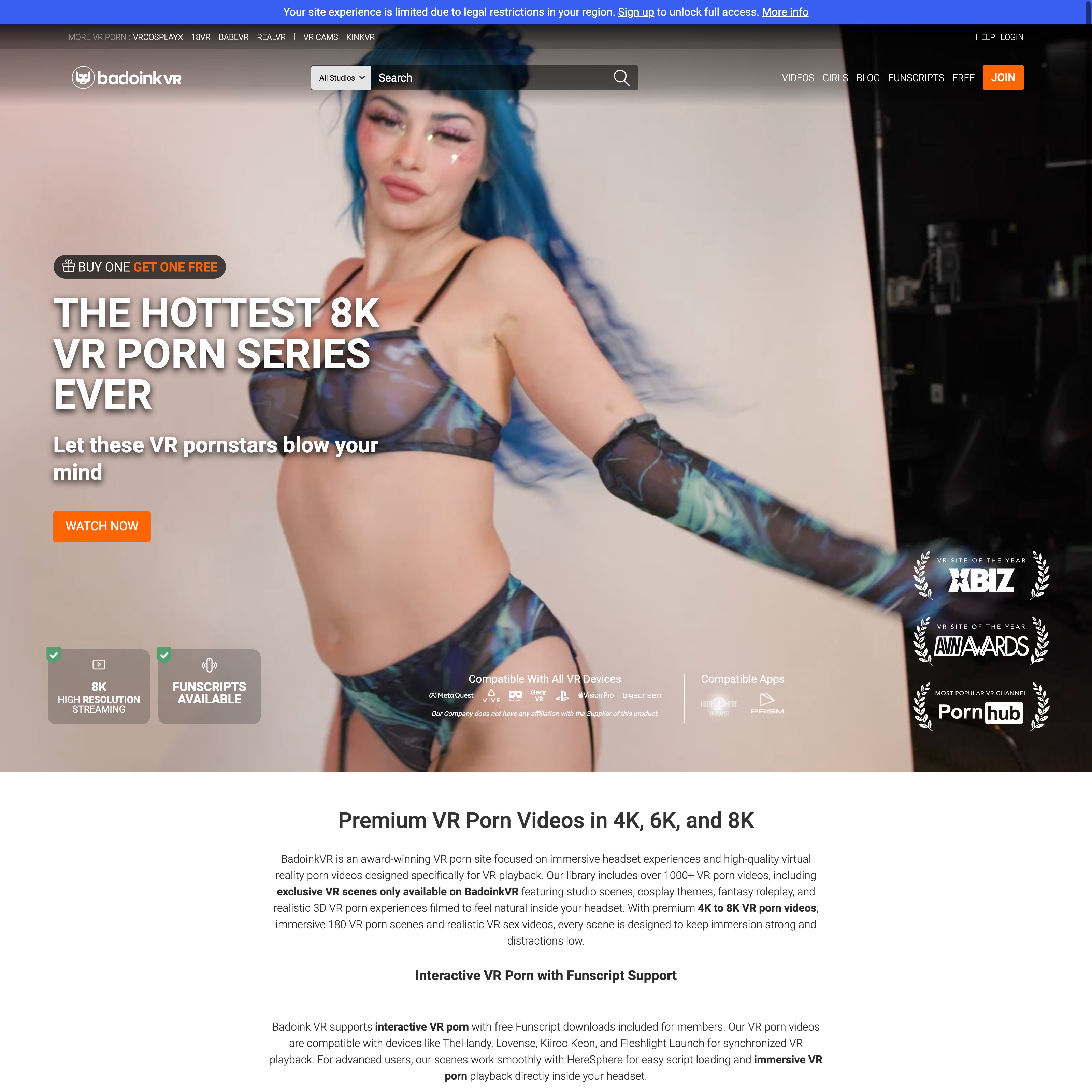 BaDoinkVR.com