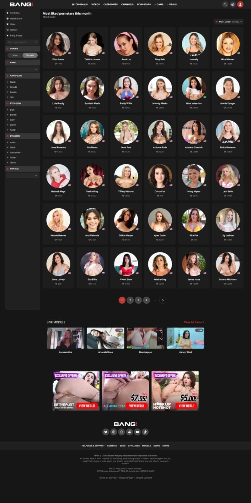 Bang Members Area Screenshot Pornstars