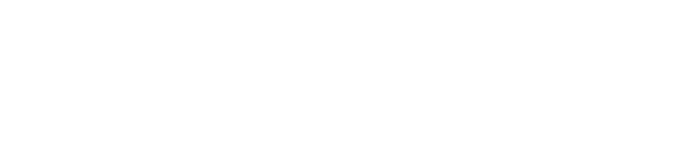 Blow VR Logo
