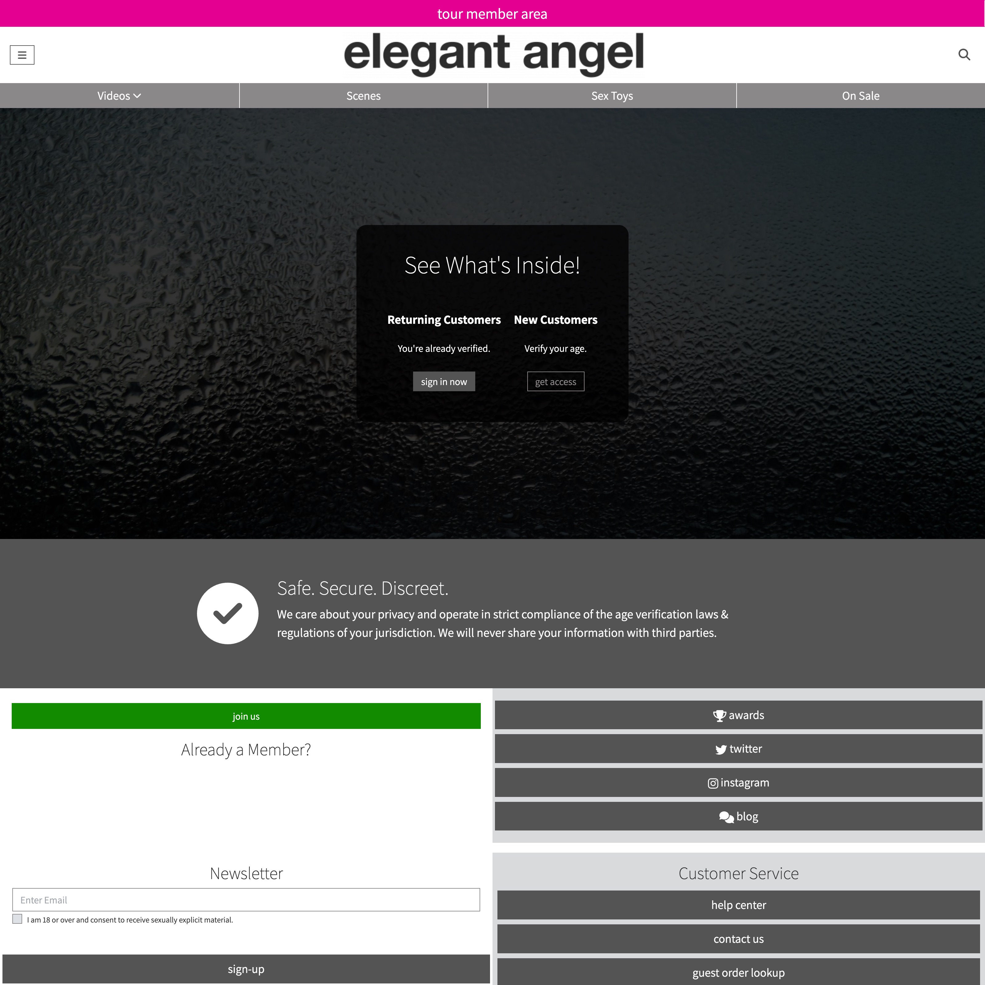 Elegant Angel Homepage