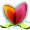 Exotic4K Favicon