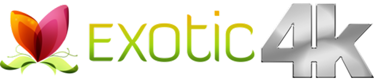Exotic4K