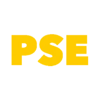 PSE Porn Star Experience Favicon