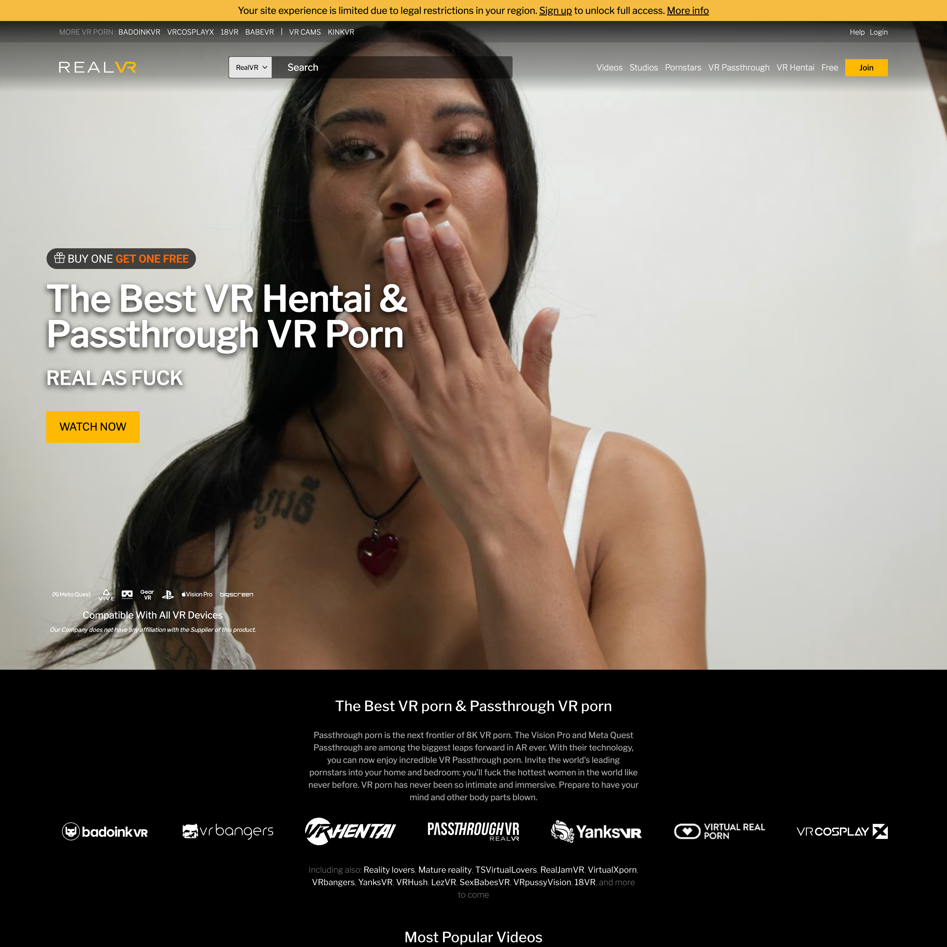 RealVR.com Screenshot