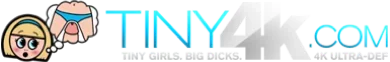 Tiny4K logo